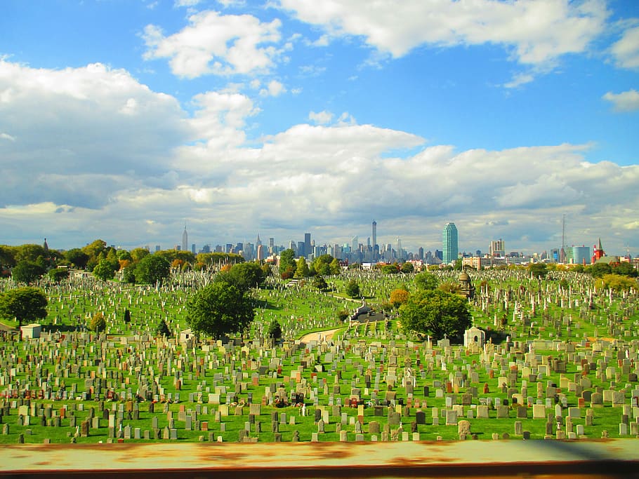 New York, cementery, green, cloud - sky, growth, agriculture HD wallpaper