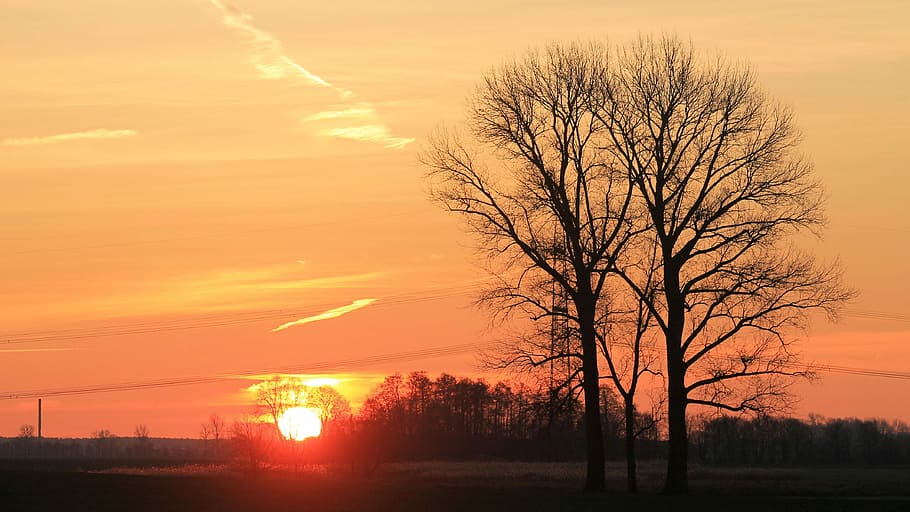 Sunset, Trees, Lake, Waters, silhuette, evening sky, twilight HD wallpaper