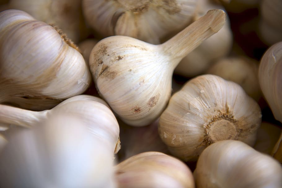 selective focus photography of onion, white garlic lot, flavour HD wallpaper