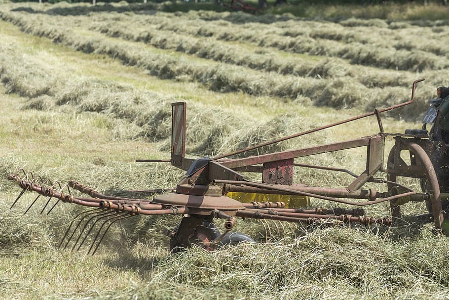 haymaking, agriculture, agricultural, countryside, harvest