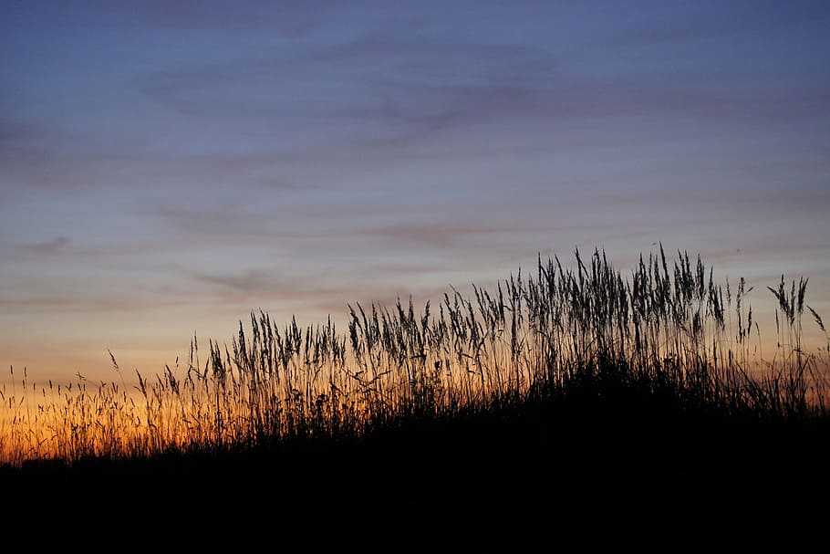 sunset, summer, nature, evening, landscape, clouds, soltse HD wallpaper