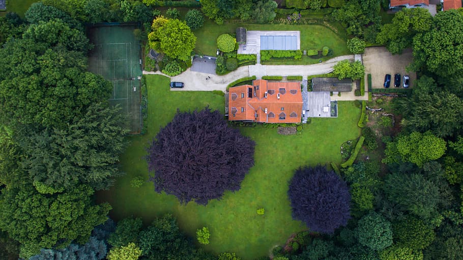aerial view of house surround trees, aerial photo of mansion HD wallpaper