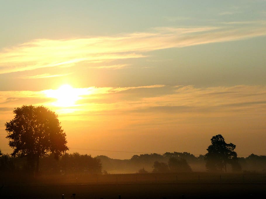 sunset, evening, dusk, afterglow, tree, sky, scenics - nature HD wallpaper