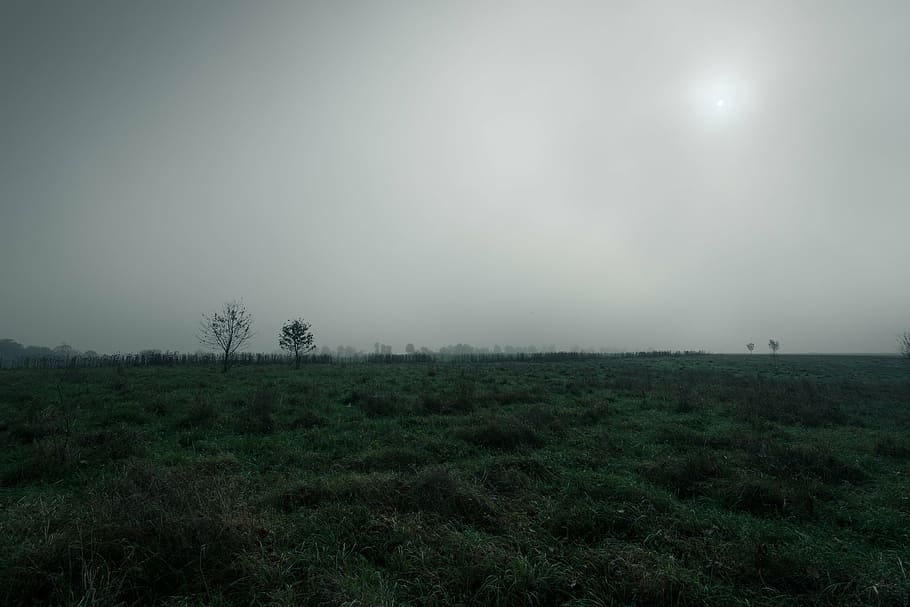 field covering with clouds, marsh, moor, flat, landscape, wet HD wallpaper