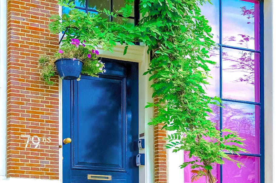home, house, door, window, brick wall, plant, colorful, jordaan, HD wallpaper