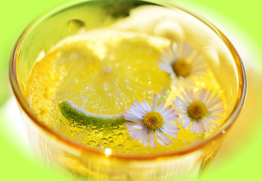 closeup photo of white liquid with white flower and lemon slice, HD wallpaper