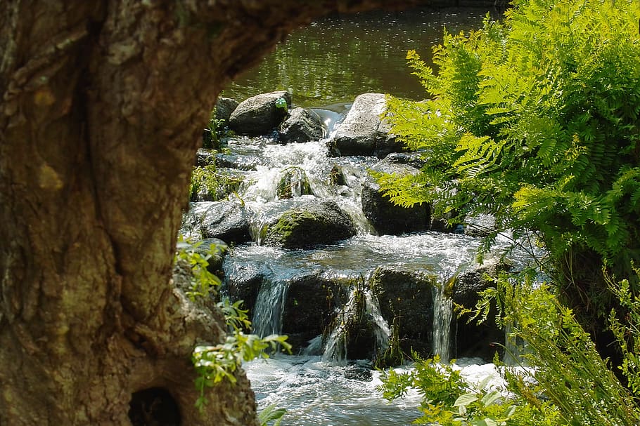 landscape photography of water falls and green leaf plants during daytime HD wallpaper