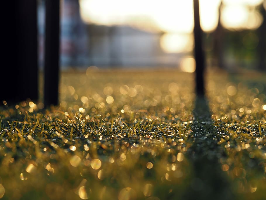 artificial grass, background, backlit, surface, relax, nature HD wallpaper