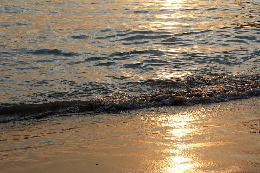seashore during daytime, beach, wave, water, sunset, coast HD wallpaper