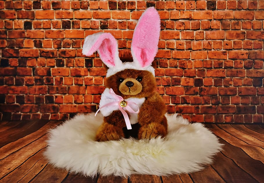 brown bear plush toy, easter, soft toy, easter bunny, cute HD wallpaper
