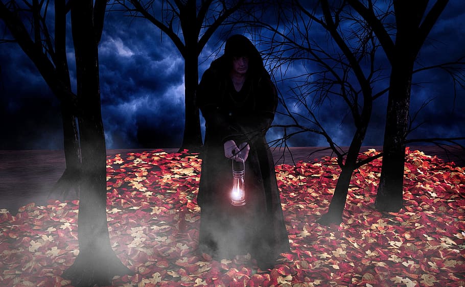 person wearing black cape photo, forest, monk, night, mystical HD wallpaper