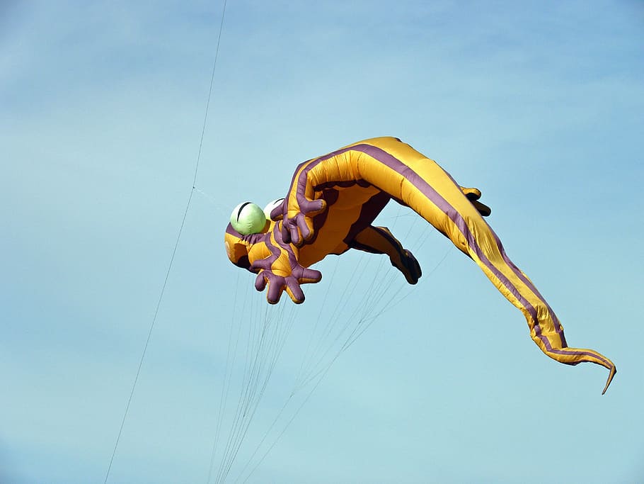 kite, lizard kite, flying kite, mid-air, fun, low angle view HD wallpaper