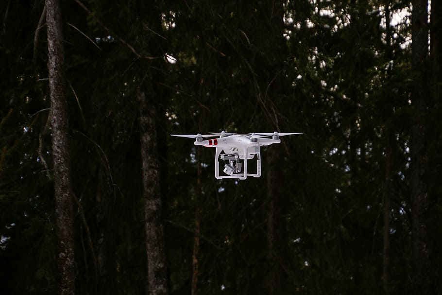 white DJI Phantom 3 standard flying near rainforest, drone HD wallpaper