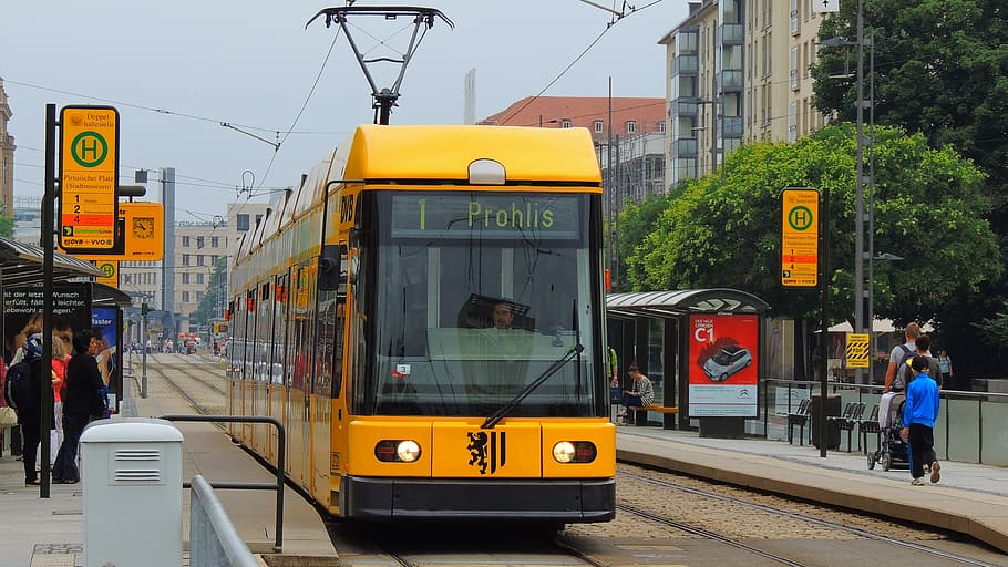 Prahlis train, dresden, tram, germany, city, european, urban HD wallpaper