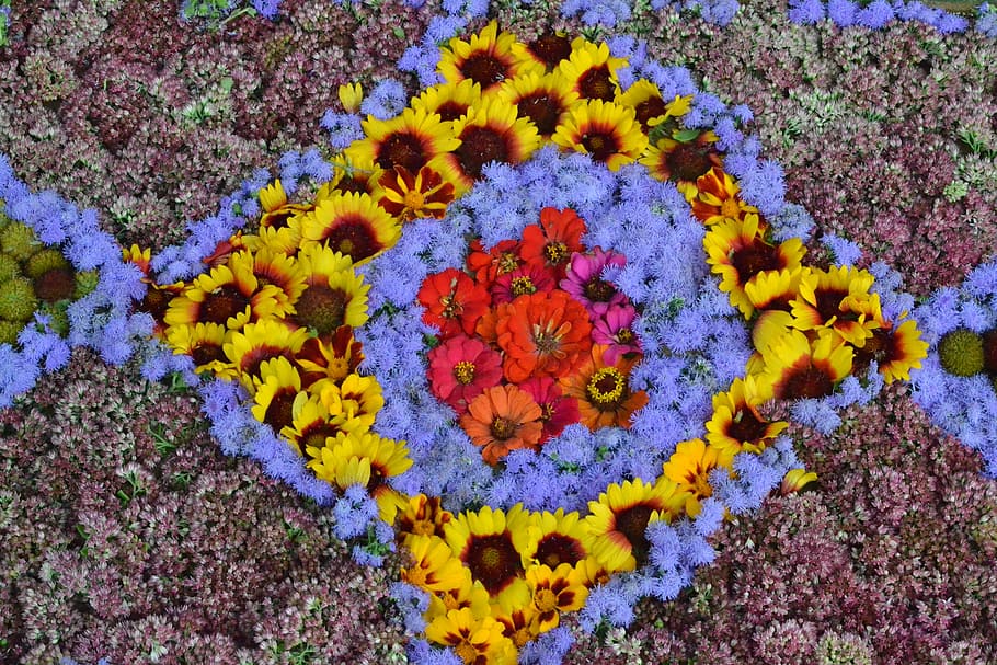 Flowers, Floral, Pattern, floral pattern, yellow, multi colored HD wallpaper