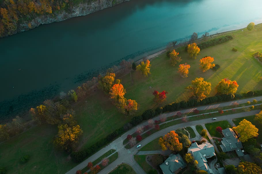 aerial photography of road and body of water, aerial photo of gray wooden house near water during daytime HD wallpaper