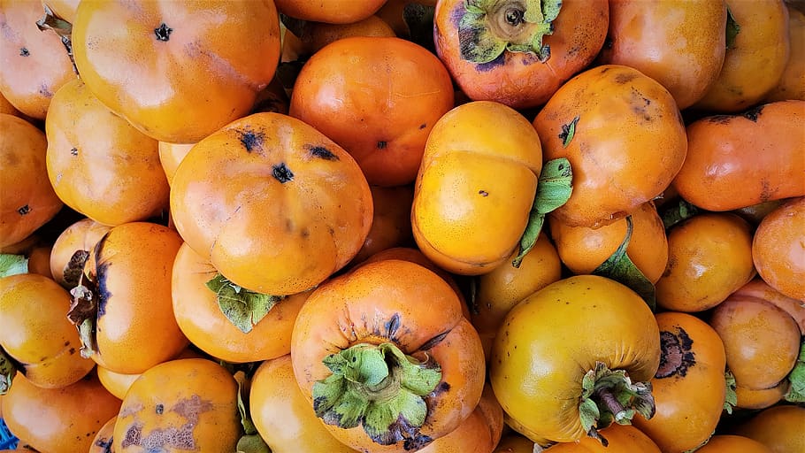 autumn, fruit, persimmon, healthy eating, food and drink, freshness HD wallpaper
