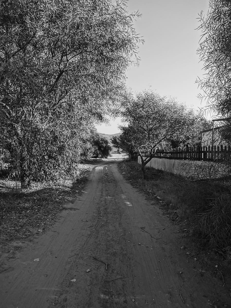 Path, Road, Track, Track, Field, Landscape, summer, black, black white HD wallpaper