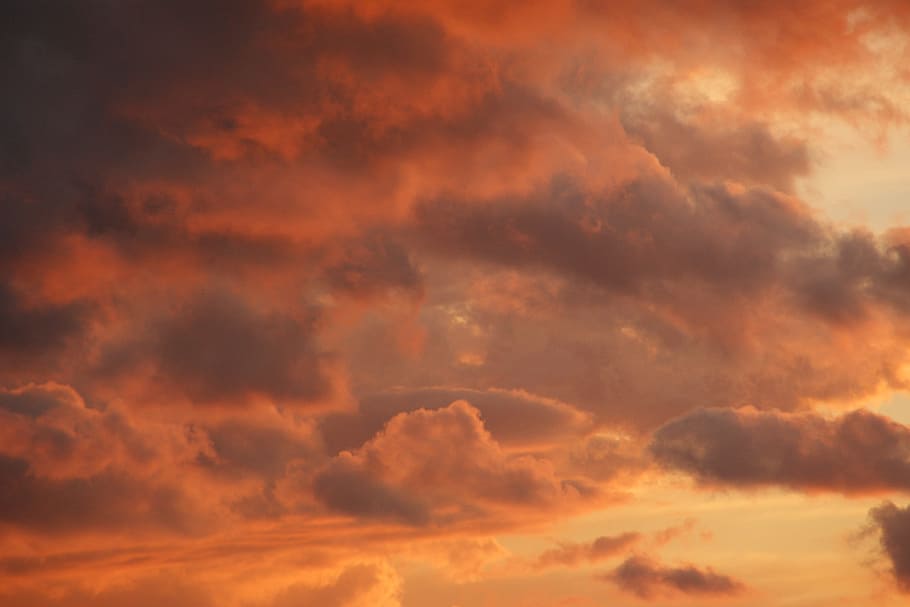 Sky, Autumn, Clouds, Evening, Mood, atmosphere, sunset, orange HD wallpaper