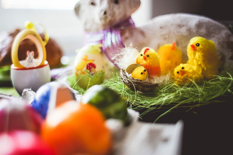 Colorful Easter Decorations, easter bunny, easter chickens, easter chicks, HD wallpaper
