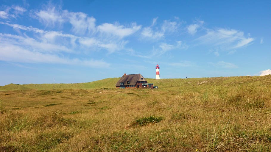 lighthouse, dunes, holiday, sky, land, field, grass, built structure HD wallpaper