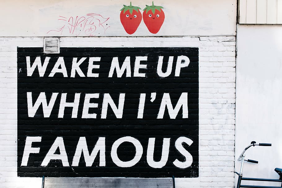Wake Me Up When I'm Famous text graffiti on wall, famouse, white