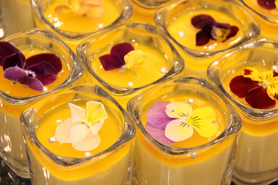 dessert, sweets, cup, flower, freshness, food and drink, close-up HD wallpaper