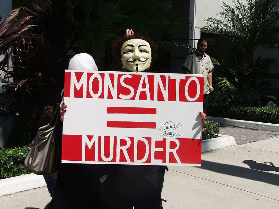 protest, anger, gmo, anomim, mask, text, western script, communication HD wallpaper