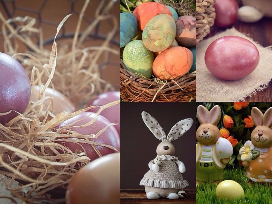 photo of Easter egg and bunny collage, background, colorful eggs, HD wallpaper