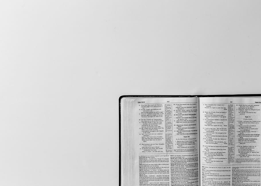 white printed paper, open page of book on white board, bible HD wallpaper