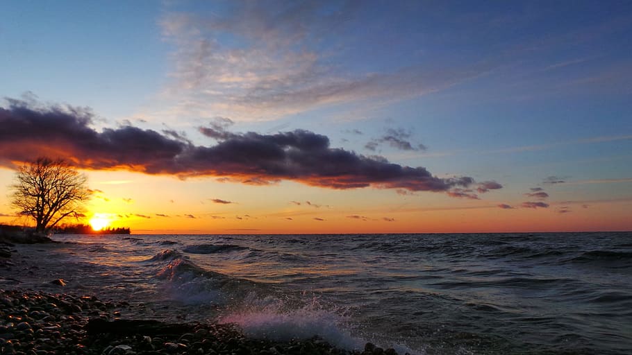 blue, dark, sky, clouds, sunset, sunrise, tree, sea, ocean HD wallpaper