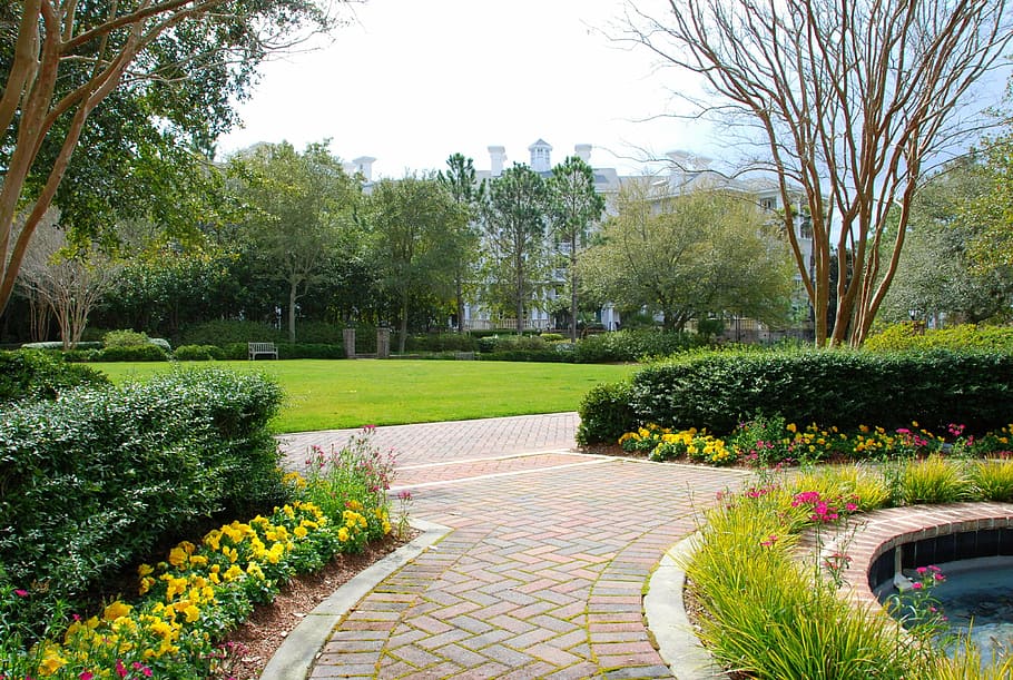 concrete pathway with grass fields, garden, walkway, sidewalk, HD wallpaper