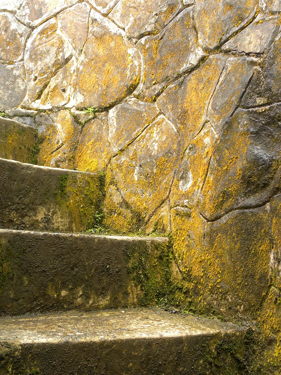 stairs, stone, age, moss, green, puerto rico, architecture HD wallpaper