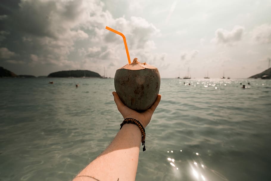 person holding coconut juice, person holding green coconut, hand HD wallpaper