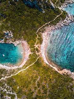 aerial view of island, top view photography of beach and trees at daytime HD wallpaper