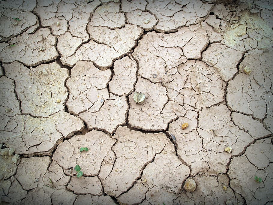 photo of dried soil, rough, earth, split, crack, ecology, summer