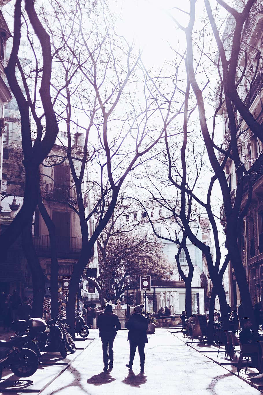 winter, tree, snow, people, real people, architecture, building exterior HD wallpaper