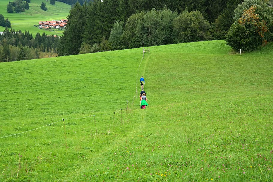 wanderer, hike, reported, green, juicy, path, walk, meadow HD wallpaper