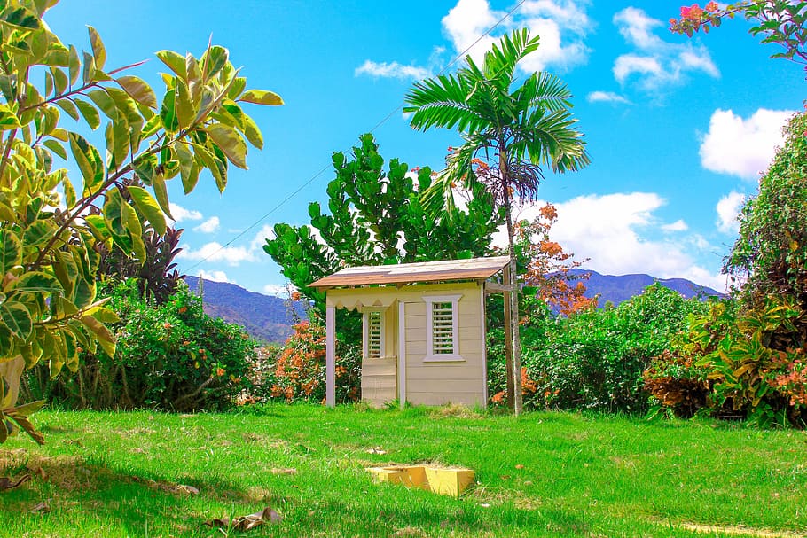 house, tree, nature, landscape, trees, green, costa, mountain HD wallpaper
