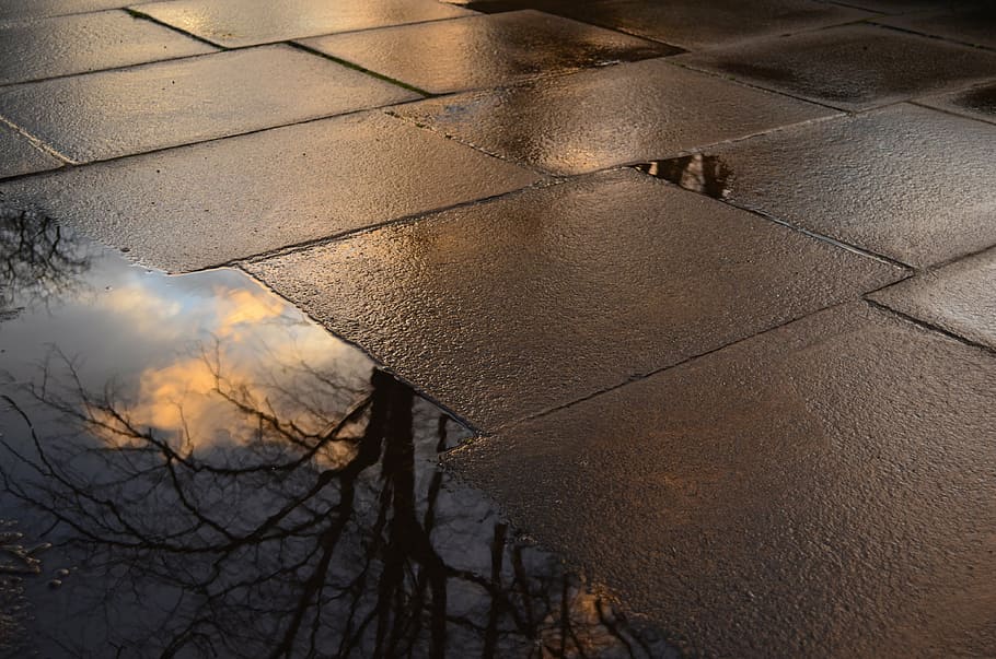 reflection of bare tree in water, background, card, clouds HD wallpaper