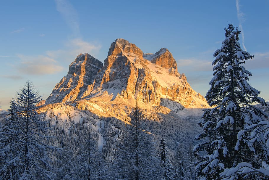 Snow Covered Mountain With Pine Trees, alpine, alps, cold, conifer HD wallpaper