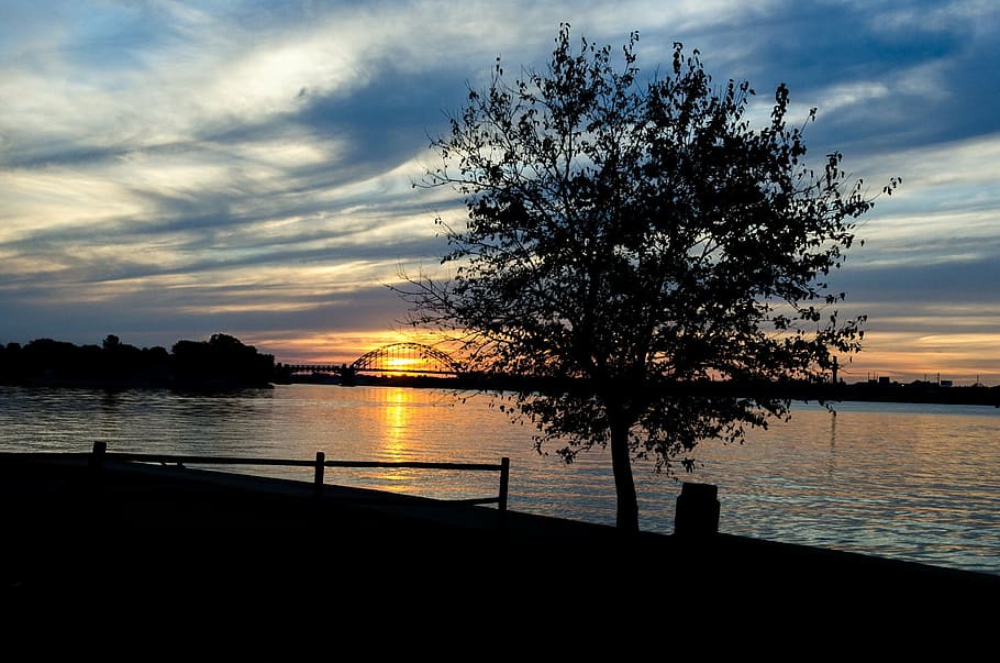 sunset, delaware river, tree, water, sky, silhouette, beauty in nature HD wallpaper
