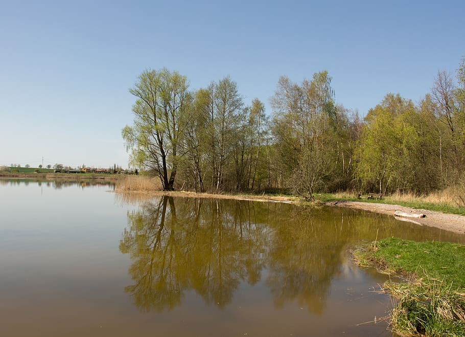 nature, waters, reflection, river, tree, spring, mirroring HD wallpaper