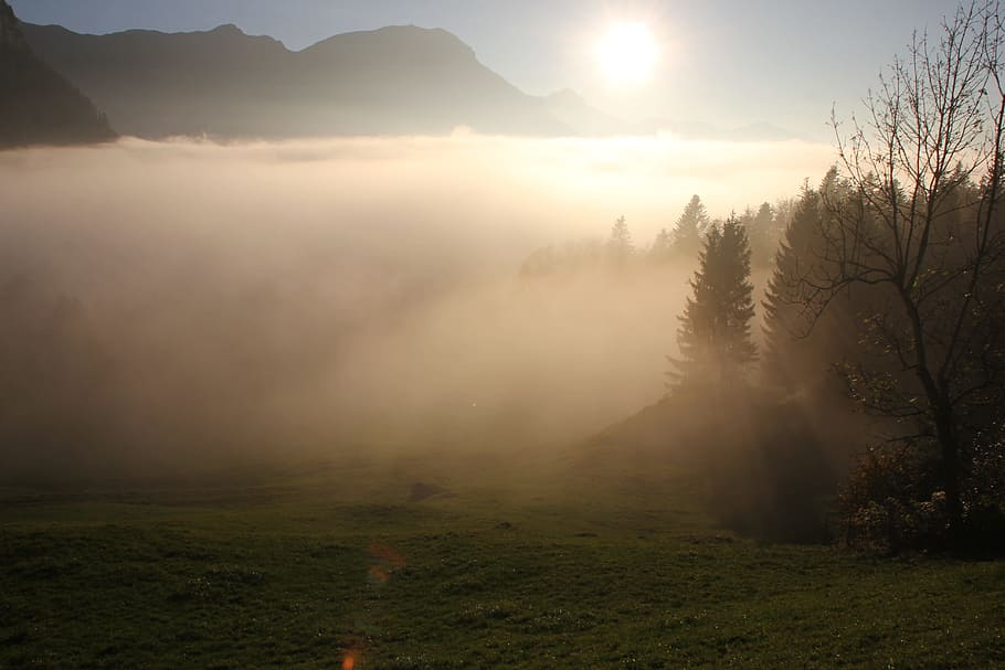 Mountains, Sun, Rest, Clouds, Fog, nature, tree, sunset, landscape HD wallpaper