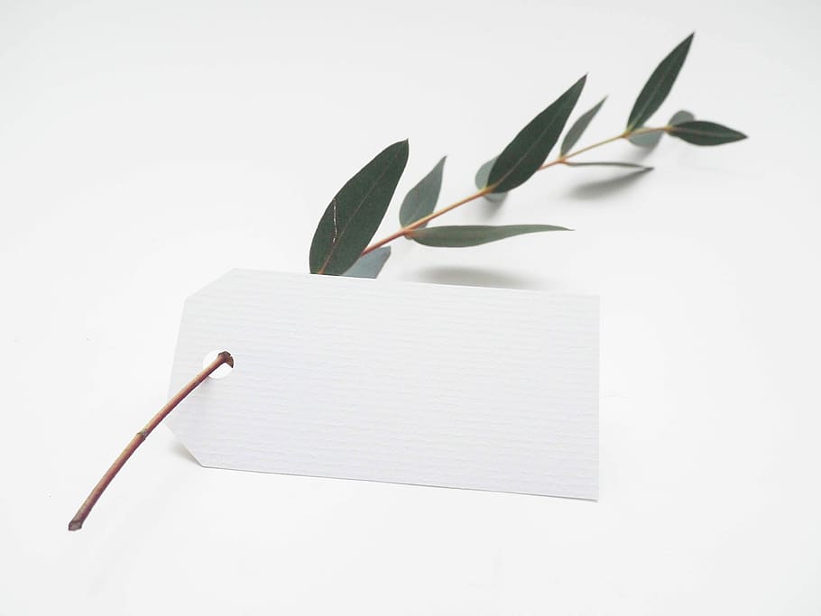 green leaf with white card, white product tag with green leaf HD wallpaper