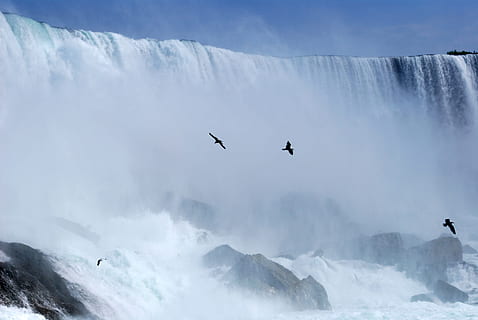 flock of birds beside waterfall, waterfalls, niagara, canada HD wallpaper