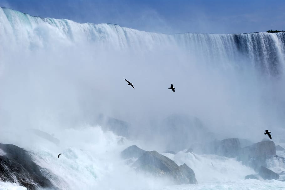flock of birds beside waterfall, waterfalls, niagara, canada HD wallpaper