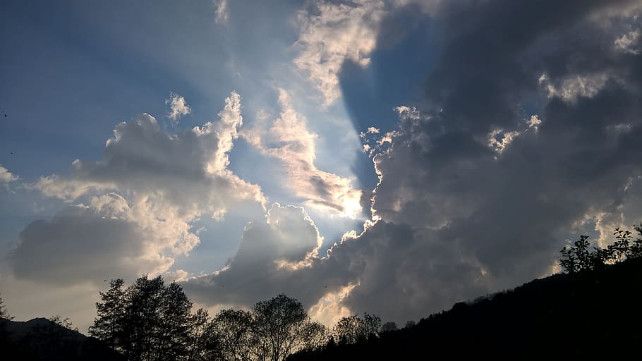 heaven, clouds, nature, cloud - sky, beauty in nature, tree HD wallpaper