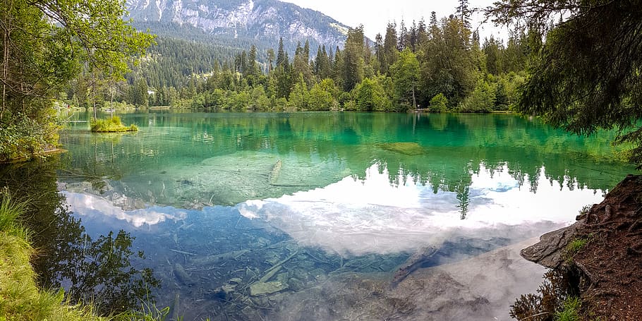 body of water near green leafed trees, calm water near pine trees and mountain HD wallpaper
