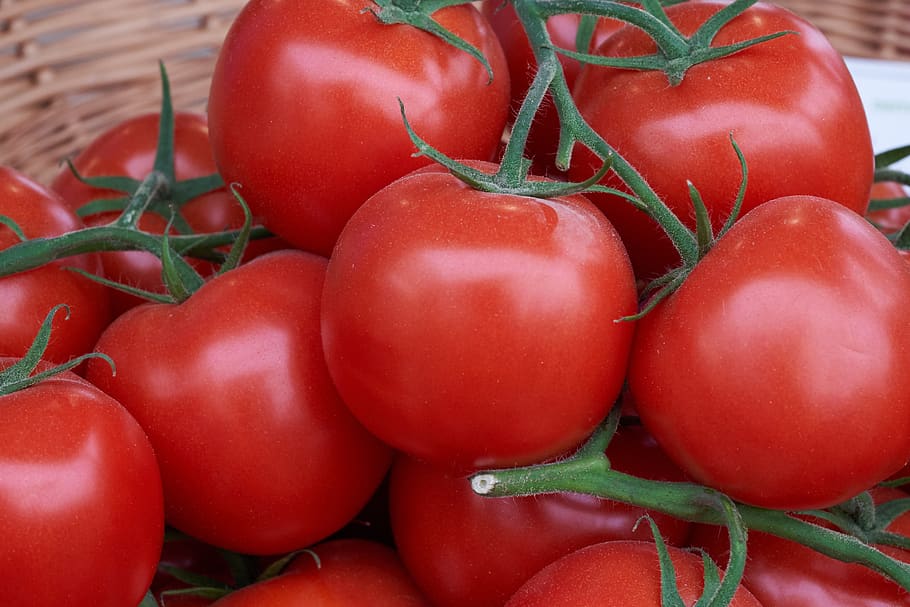 tomatoes, gemene, red, food, healthy, food and drink, healthy eating, HD wallpaper